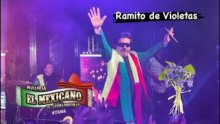 Mi Banda el Mexicano - Ramito de Violetas (en vivo)