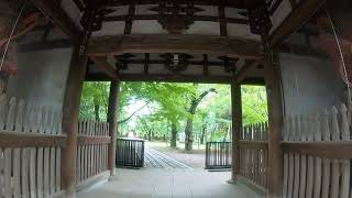 小金宿　東漸寺