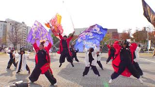 「知多きらく」四日市よさこい やったろ舞2017【市民公園会場】