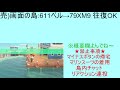 カブ価611ベルの島を無償開放！往復ok！ 初見さん大歓迎！ 視聴者参加型！【あつまれどうぶつの森】【ライブ配信】