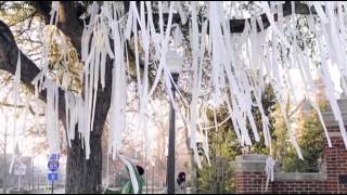 Auburn Prunes Poisoned Toomer's Corner Oak Trees