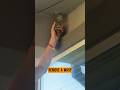 Man tries gasoline 'hack' to get rid of wasp nests – and it ends up in disaster.