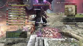 DDON  魔赤島の狂宴　ファイター