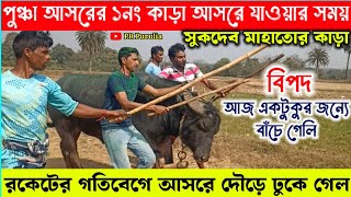 পুঞ্চা/সুকদেব মাহাতোর কাড়া বারুদের বেগে আসরের দিকে দৌড় মারলেন★আজ একটুকুর জন্য বিরাট বিপদ।