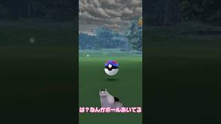 たまにポケモンgoであることを猫ミームで再現してみた #猫ミーム #ポケモンgo