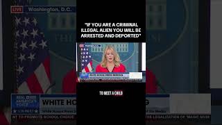 CRIMINAL ILLEGAL MIGRANT UPDATE #shorts