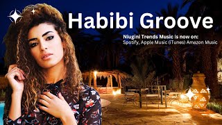 Habibi Groove – The Ultimate Arabic Dance Party Anthem