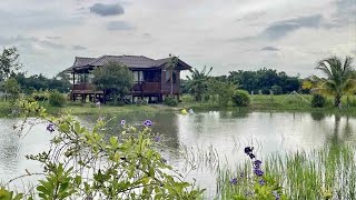 บ้านสวน🏡บรรยากาศดี เงียบสงบ💚ร่มรื่นใกล้ชิดธรรมชาติ🌾