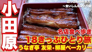 【小田原】【神奈川】【ひとり旅】【食べ歩き】おっさんの歩き方〜食いしん坊ひとり旅〜【うなぎ亭友栄】【柳屋ベーカリー】【鈴廣】