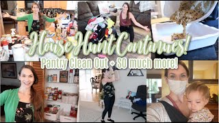 The House Hunt Continues! + Pantry Cleanout + Workout + Carpet Cleaning + Haul & More -Just KICK IT