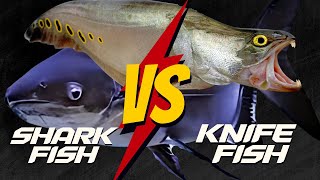 Electric Knife Fish vs Sharks: Who Has the SHOCKING SUPER POWER?