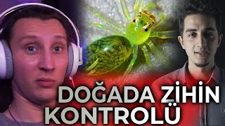 KAANFLIX | DOĞADA ZİHİN KONTROLÜNÜN EN UÇ 10 ÖRNEĞİ İZLİYOR (Ruhi Çenet)