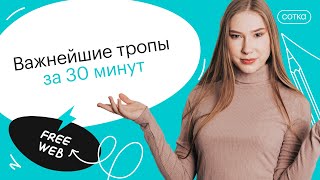 Важнейшие тропы за 30 минут | ОГЭ ЛИТЕРАТУРА 2022 | СОТКА