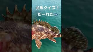 【お魚クイズ2】これだーれだ🐟 #shorts