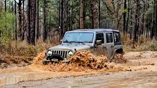 Cheap Chinese Crosswind A/T Tires Off Road Test at Citrus W.M.A. in Florida after the Rain!