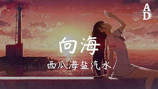 向海 - 西瓜海鹽汽水『被晴空和雲挽留 Ah oh ah oh 浸泡溫柔』【高音質/動態歌詞/Pinyin Lyrics】