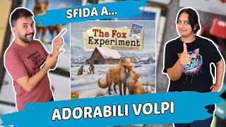 The Fox Experiment, Partita Completa cercando di addomesticare le volpi