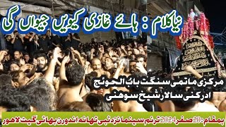 Hey Ghazi Kiven Jiwaan gi | ہائے غازی کیویں جیواں گی | 2024 azadari | matamdari | new kalam