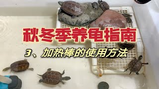 秋冬季养龟指南第三期，加热棒的使用方法和实际细节介绍