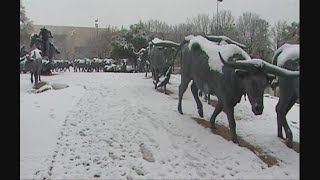 The snowiest day in Dallas history: Feb. 11, 2010