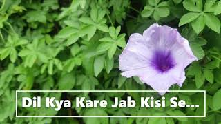 Dil Kya Kare Jab Kisi Se I Julie I Kishore Kumar I Vikram, Lakshmi I unplugged by H!manshu