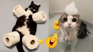 This Is Why Animals Are Best Friend 🐶😂 Funniest Cats And Dogs 2024 😅