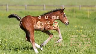 【おうま】ouma＊Horse＊Japanes song＊