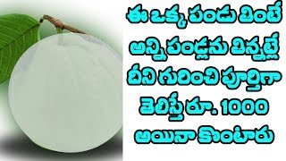 mutliple health benefitsofguava, ఈఒక్క పండు తింటే అన్ని పండ్లు తిన్నట్లే.తేలీస్తే1000 అయిన కొంటారు