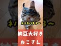 納豆が好きな猫 shorts ショート