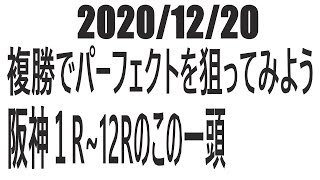 【競馬】２０２０年１２月２０日複勝でパーフェクトを狙ってみよう　阪神１R~12Rのこの一頭　予想編