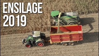 2 FENDT 700 vario + JOHN DEERE 8400 = ENSILAGE 2019 🌽🇫🇷