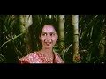 chhattisgarhi filmi geet mor chhaiha bhuiya cg top 8 super hit s romantic songs