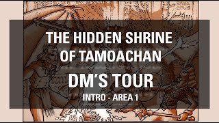 Hidden Shrine of Tamoachan -  Intro and Area 1