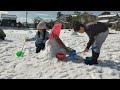 【2025年1月　風の子日曜日】雪遊び