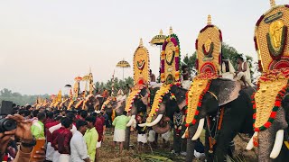 ഏഷ്യയിലെ ഏറ്റവും വലിയ ആനപ്പൂരം |Anayadi Pooram 2024 #anayadipooram2024 #anayadi