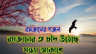 রমজানের ঐ চাঁদ হাসে সন্ধ্যা আকাশে। Romjaner E Chad Utheche Sondha Akashe | Hidayat Tv