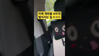 차에 계란을 놔두면 벌어지는 일.. #shorts