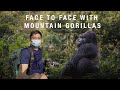 SHOCKING MOMENT when a WILD SILVERBACK Gorilla walked up to me