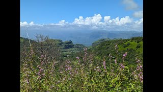 Torna Fort from Varandha ghat #sahyadri #tornafort #travel