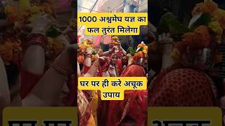 1000 अश्वमेघ यज्ञ का फल तुरंत मिलेगा,  करें ये उपाय🔱#shorts #katha #shivmahapuran #pradeepmishra #yt