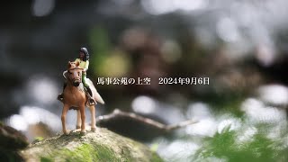 馬事公苑の上空 9月6日