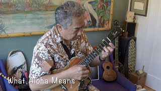 Vintage Hawaiian Song What Aloha Means