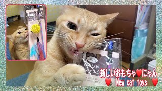 むぎっちゅ☆新しいおもちゃで遊ぼう♡パッケージも大好きな猫は…飽きるのも早かった🤣