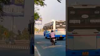 VEERAN songs for TNSTC Blue Bus #shorts