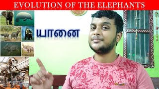 Evolution of elephant | யானையின் பரிணாமம் | sudharsan science