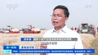 [第一时间]夏收进行时 西南麦收过九成 四川夏粮丰收成定局|CCTV财经