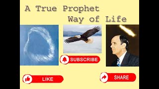 THE TRUE PROPHET WAY OF LIFE