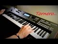 Tornero - I Santo California - Instrumental Version - Piotr Zylbert on Yamaha moXF6 - Live (HD)