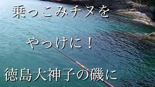 春だ　チヌの乗っこみを狙って落とし込み釣りに磯え！