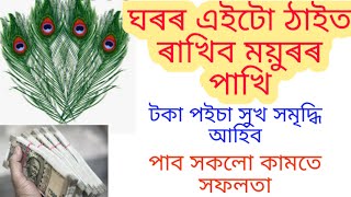 ঘৰৰ এইটো ঠাইত ৰাখিব ময়ুৰৰ পাখি। Benefits Of Peacock Feathers Astrology. @AssameseAstrology709.